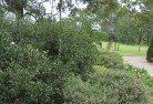 Rouse Hillresidential-landscaping-35.jpg; ?>