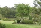 Rouse Hillresidential-landscaping-40.jpg; ?>
