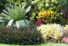 Rouse Hillresidential-landscaping-58.jpg; ?>
