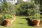 Rouse Hillvegetable-gardens-3.jpg; ?>